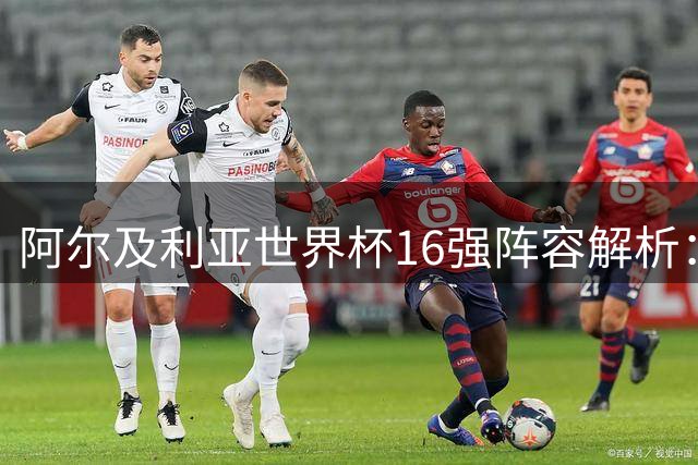 阿尔及利亚世界杯16强阵容解析：五大联赛球星今何在？